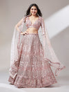 Net Mirror & Sequins Embroiderey Semi-Stitched Lehenga choli
