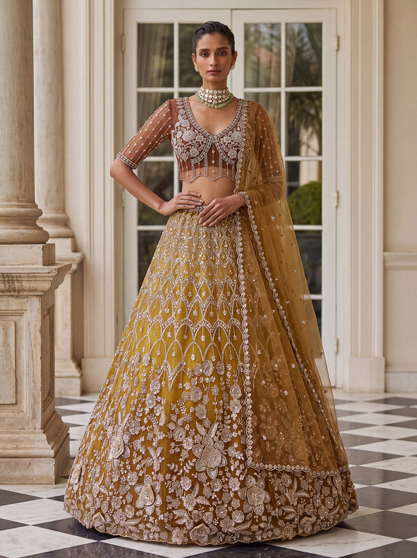 Brown Shaded Net Floral Pattern Embroidered Semi-Stitched Lehenga Choli House of Panchhi