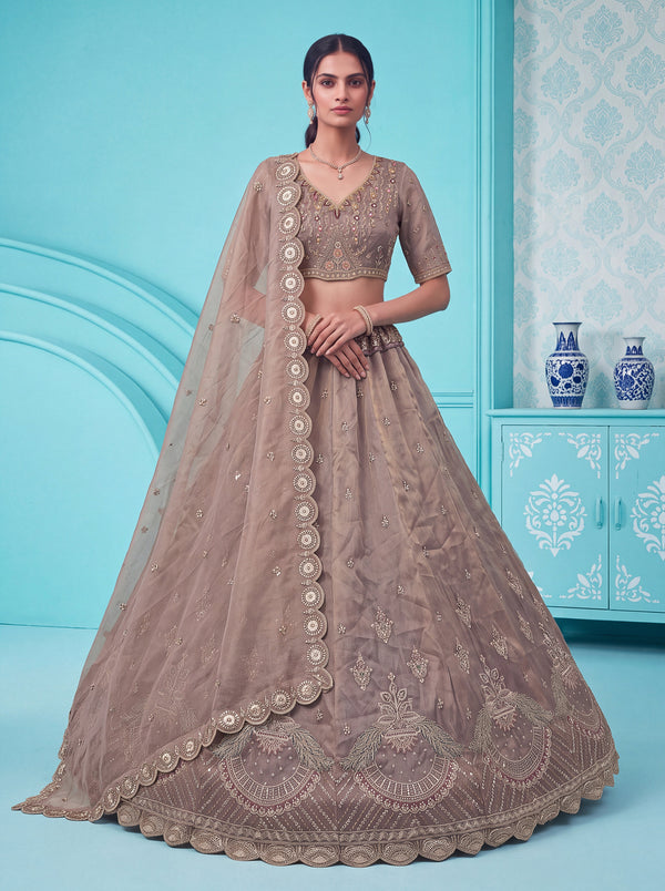 Light Brown Silk Peacock Motif Handwork Semi-Stitched Lehenga Choli House of Panchhi