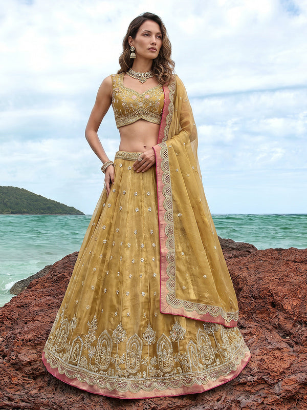 Mustard Tissue Moti with Embroidered Lehenga Set House of Panchhi