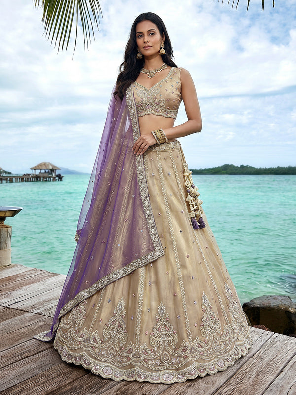 Purple Tissue Beads with zari Embroidered Lehenga Set House of Panchhi