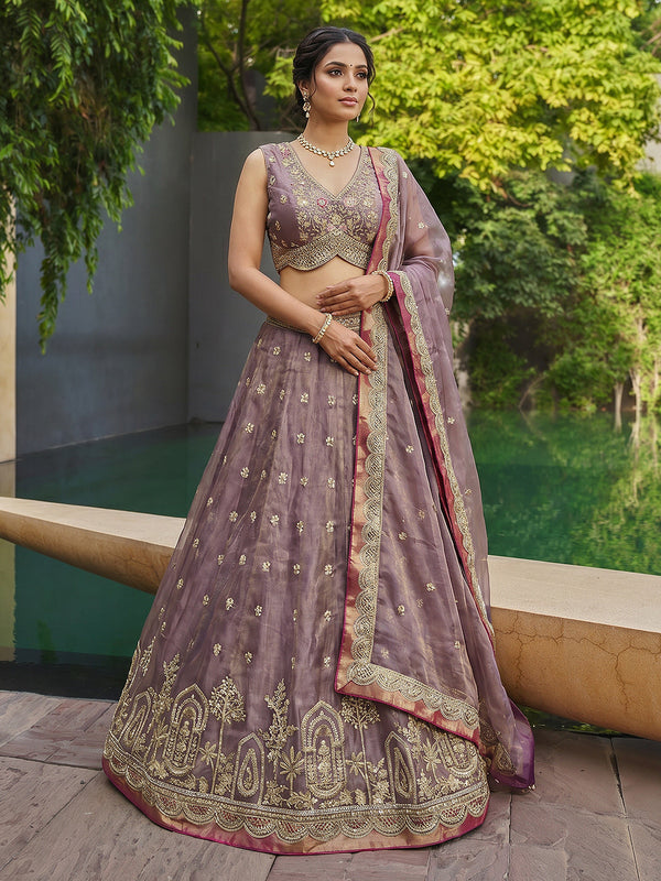 Mauve Tissue Moti with Embroidered Lehenga Set House of Panchhi