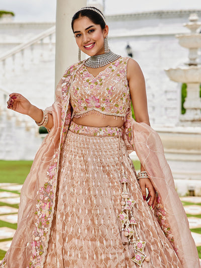 Satin Silk Fabric Sequinned Embroidered Ready to Wear Lehenga Choli & Dupatta houseofpanchhi