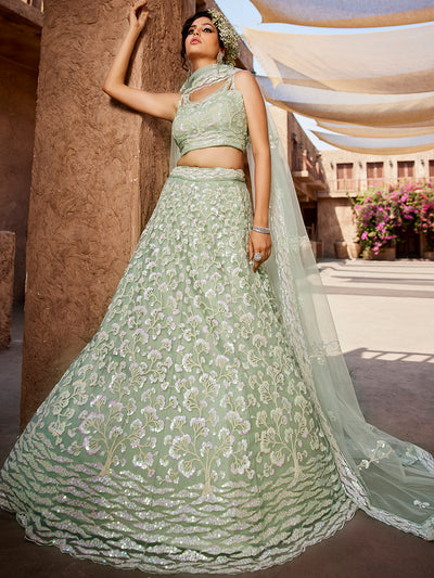 Net Fabric Sequinse embroidery Semi-Stitched Lehenga choli & Dupatta