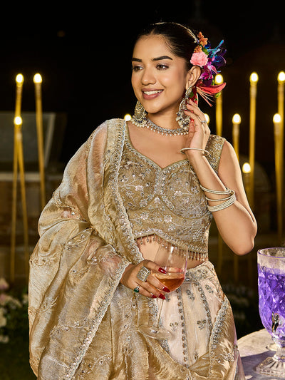 Satin Silk Fabric Beads & Sequinned Embroidered Ready to Wear Lehenga Choli & Dupatta House of Panchhi