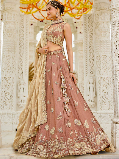 Tissue Fabric Beads & Sequince Embroidered Ready to Wear Lehenga Choli & Dupatta houseofpanchhi