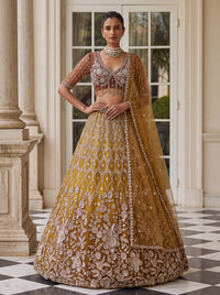 Brown Shaded Net Floral Pattern Embroidered  Semi-Stitched Lehenga Choli
