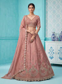 Rosegold Color Silk Peacock Motif Handwork Semi-Stitched Lehenga Choli