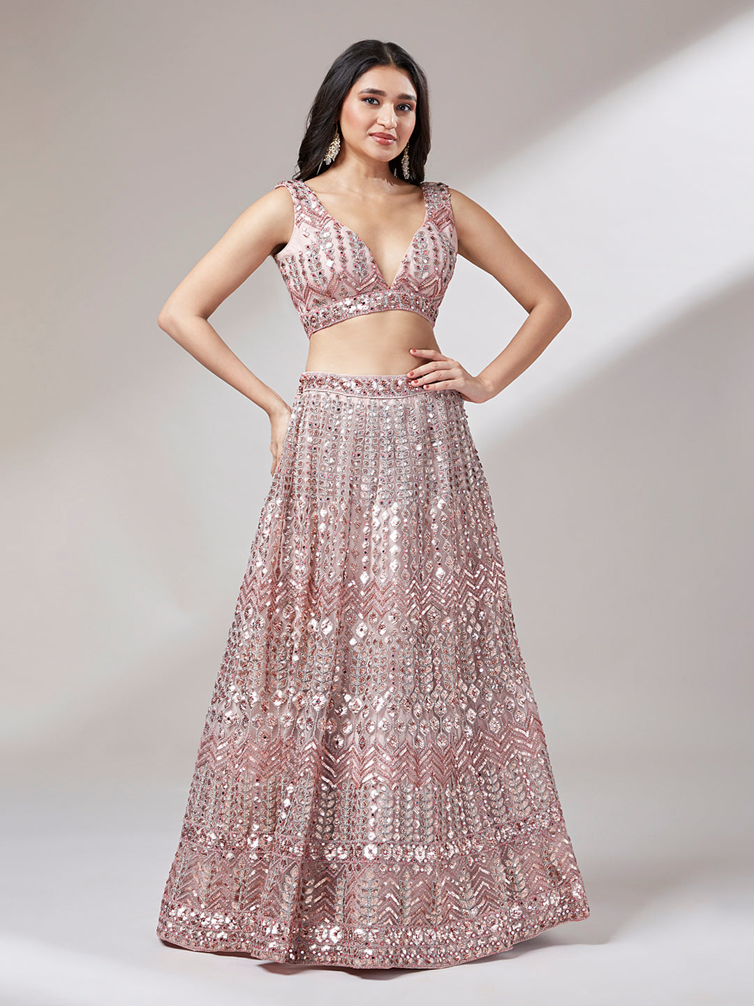 Net Mirror Sequins Embroiderey Semi Stitched Lehenga choli houseofpanchhi