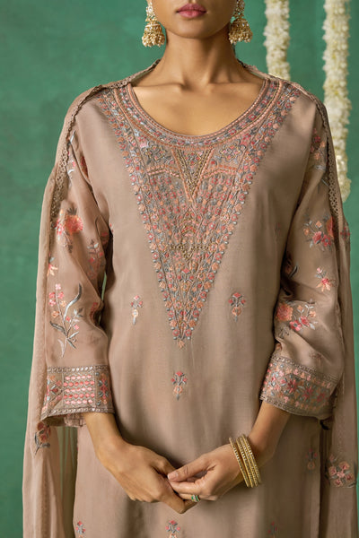 Shimmer Organza Fabric Sequins embroidery Semi-Stitched Straight Kurta Set- ROSE