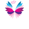 houseofpanchhi