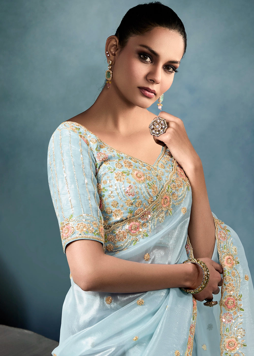 Sky Blue Tissue fabric Handwork embroidered Border Saree with Satin Blouse